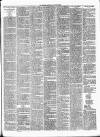 Gravesend Reporter, North Kent and South Essex Advertiser Saturday 28 January 1893 Page 3