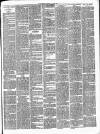 Gravesend Reporter, North Kent and South Essex Advertiser Saturday 29 April 1893 Page 3