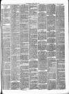 Gravesend Reporter, North Kent and South Essex Advertiser Saturday 24 June 1893 Page 3