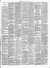 Gravesend Reporter, North Kent and South Essex Advertiser Saturday 13 January 1894 Page 3
