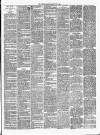 Gravesend Reporter, North Kent and South Essex Advertiser Saturday 24 February 1894 Page 3