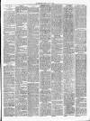 Gravesend Reporter, North Kent and South Essex Advertiser Saturday 31 March 1894 Page 3