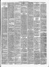 Gravesend Reporter, North Kent and South Essex Advertiser Saturday 28 April 1894 Page 3