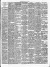 Gravesend Reporter, North Kent and South Essex Advertiser Saturday 05 May 1894 Page 3