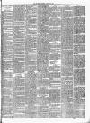 Gravesend Reporter, North Kent and South Essex Advertiser Saturday 10 November 1894 Page 3