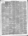 Gravesend Reporter, North Kent and South Essex Advertiser Saturday 02 February 1895 Page 3
