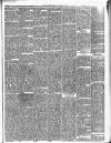 Gravesend Reporter, North Kent and South Essex Advertiser Saturday 02 February 1895 Page 5