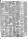 Gravesend Reporter, North Kent and South Essex Advertiser Saturday 06 April 1895 Page 3