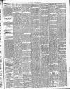 Gravesend Reporter, North Kent and South Essex Advertiser Saturday 22 June 1895 Page 5