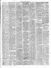 Gravesend Reporter, North Kent and South Essex Advertiser Saturday 19 May 1900 Page 3