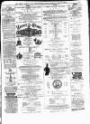 Weston Mercury Saturday 16 May 1874 Page 3