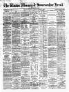 Weston Mercury Saturday 17 January 1880 Page 1