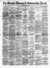 Weston Mercury Saturday 12 June 1880 Page 1