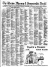 Weston Mercury Saturday 11 November 1893 Page 9