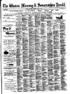 Weston Mercury Saturday 14 April 1900 Page 9