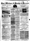 Deal, Walmer & Sandwich Mercury Saturday 23 May 1874 Page 1