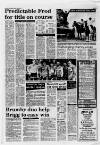 Scunthorpe Evening Telegraph Friday 30 March 1990 Page 17