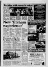 Scunthorpe Evening Telegraph Thursday 14 March 1991 Page 15