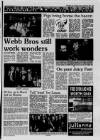 Scunthorpe Evening Telegraph Friday 15 October 1993 Page 15