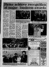 Scunthorpe Evening Telegraph Tuesday 29 March 1994 Page 17