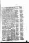 Leamington Advertiser, and Beck's List of Visitors Thursday 26 December 1872 Page 7