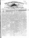 Munster Express Saturday 05 June 1869 Page 1