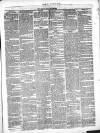 Munster Express Saturday 30 April 1870 Page 5