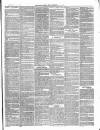 Totnes Weekly Times Saturday 17 July 1869 Page 3