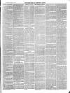 Totnes Weekly Times Saturday 07 August 1869 Page 3