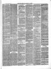 Totnes Weekly Times Saturday 19 February 1870 Page 3