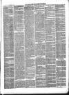 Totnes Weekly Times Saturday 05 March 1870 Page 3
