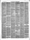 Totnes Weekly Times Saturday 12 March 1870 Page 3