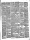 Totnes Weekly Times Saturday 19 March 1870 Page 3
