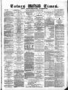 Totnes Weekly Times Saturday 25 June 1870 Page 1