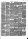 Totnes Weekly Times Saturday 16 July 1870 Page 3