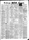 Totnes Weekly Times Saturday 08 April 1871 Page 1