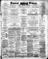 Totnes Weekly Times Saturday 05 January 1884 Page 1