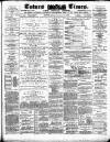 Totnes Weekly Times Saturday 12 January 1884 Page 1