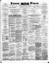 Totnes Weekly Times Saturday 01 March 1884 Page 1
