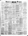 Totnes Weekly Times Saturday 19 April 1884 Page 1