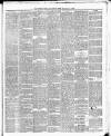 Totnes Weekly Times Saturday 06 December 1884 Page 3