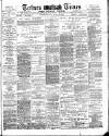 Totnes Weekly Times Saturday 31 January 1885 Page 1