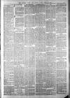 Totnes Weekly Times Saturday 12 March 1887 Page 3