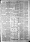 Totnes Weekly Times Saturday 19 March 1887 Page 3