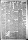 Totnes Weekly Times Saturday 19 March 1887 Page 5