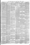 Totnes Weekly Times Saturday 02 March 1889 Page 3