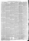 Totnes Weekly Times Saturday 01 June 1889 Page 3