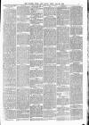 Totnes Weekly Times Saturday 29 June 1889 Page 7