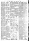 Totnes Weekly Times Saturday 03 August 1889 Page 3
