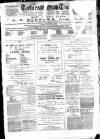 Totnes Weekly Times Saturday 02 January 1892 Page 1
